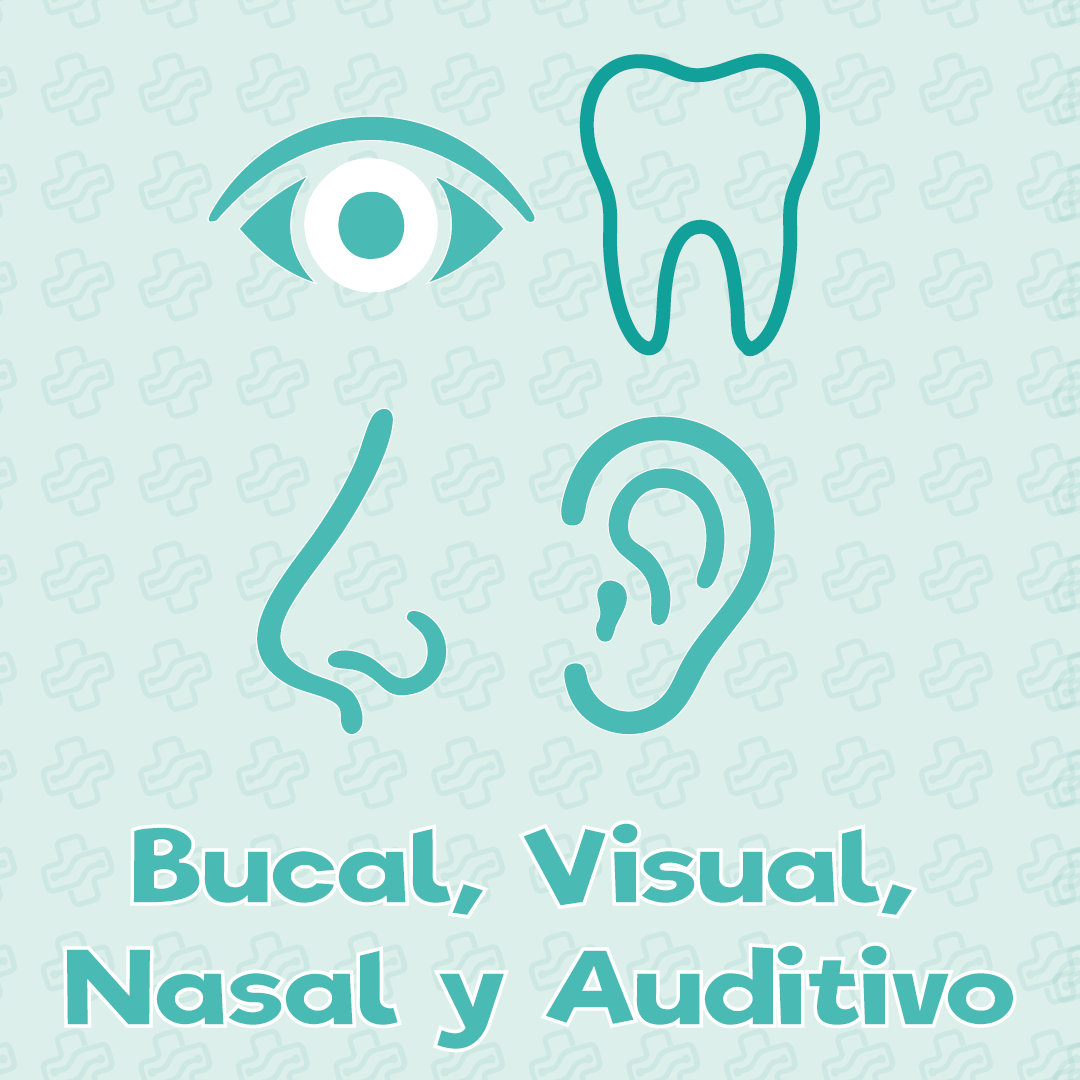 Bucal ojos y oídos